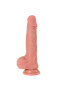 RDS10023-df-7-r