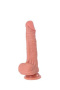 RDS10023-df-7-r