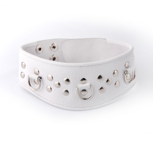 Ошейник кожа