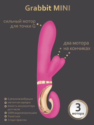 Gvibe_GrabbitMINI_750x1000