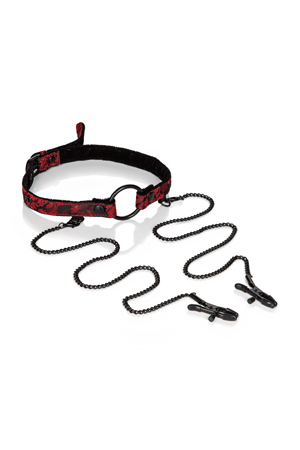 Кляп-рамка Scandal с зажимами на соски (1)