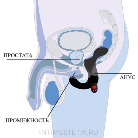 kupit_dyuk_fan_faktori