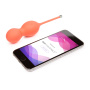 wevibe_bloom_product